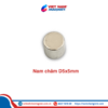 Nam châm đất hiếm D5x5mm